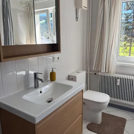 Bergzeit Gosaukamm Apartament