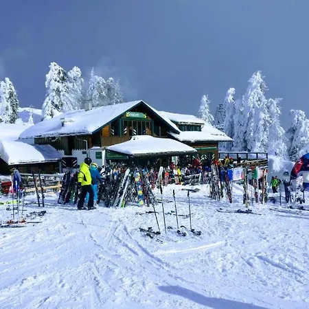 Bergzeit Gosaukamm Gosau