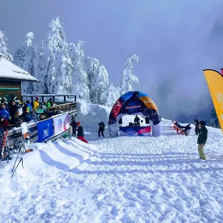 Bergzeit Gosaukamm Apartament Gosau
